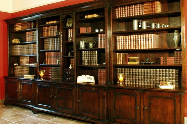 Dark Wood shelving unit