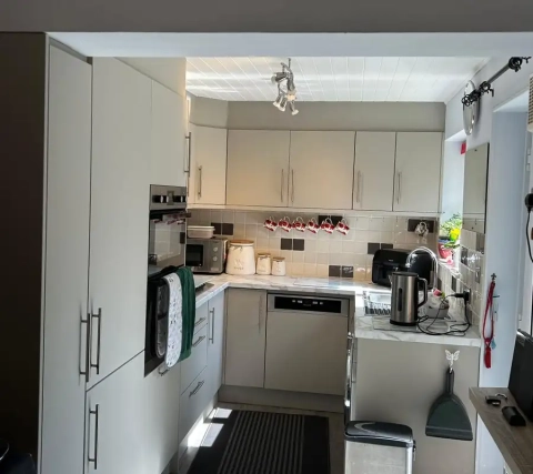 Elevated Modern Kitchen